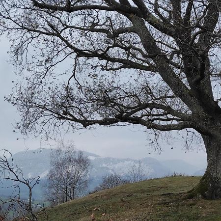 Gite Des 3 Arbres Aramits Luaran gambar