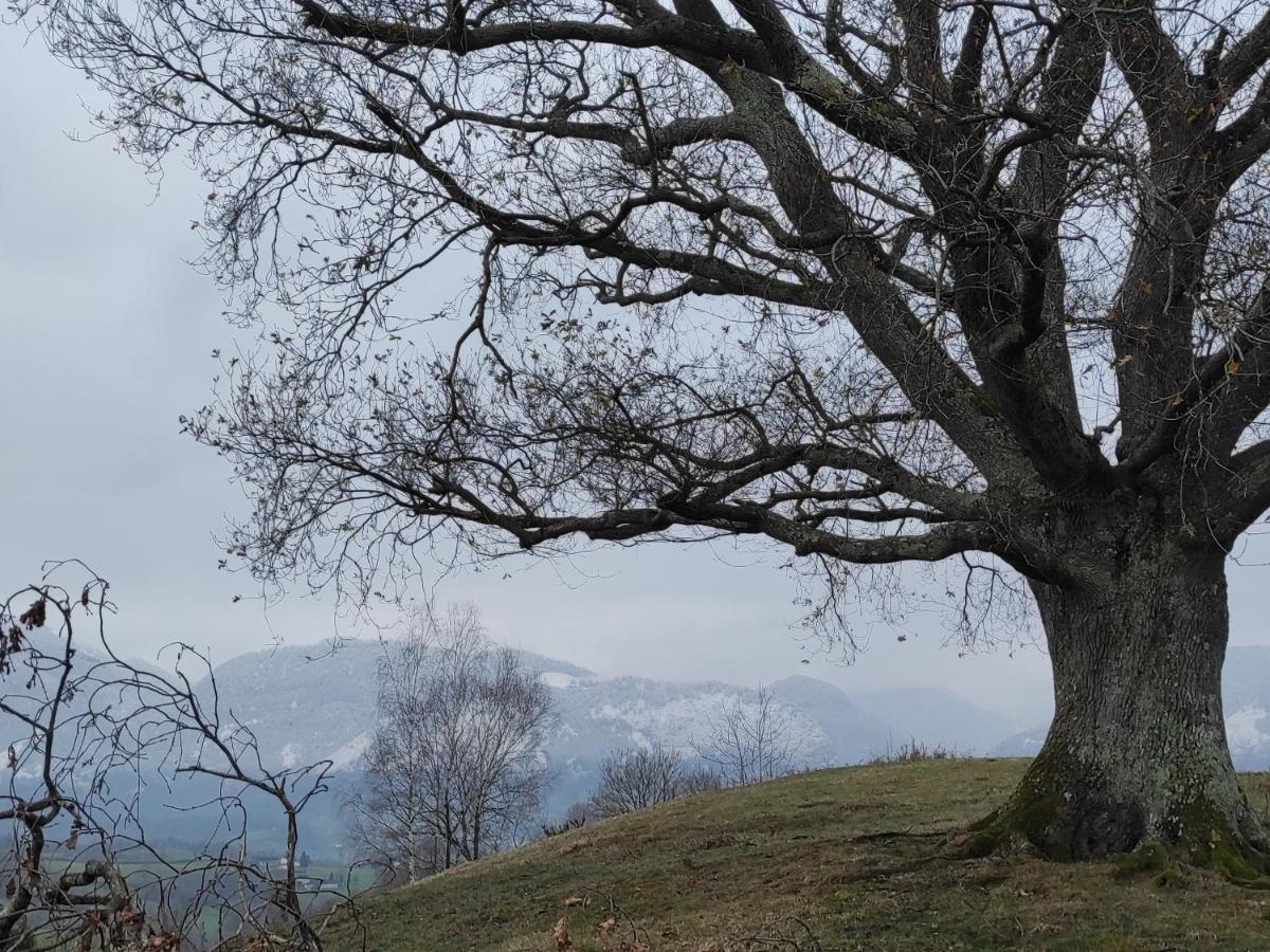 Gite Des 3 Arbres Aramits Luaran gambar